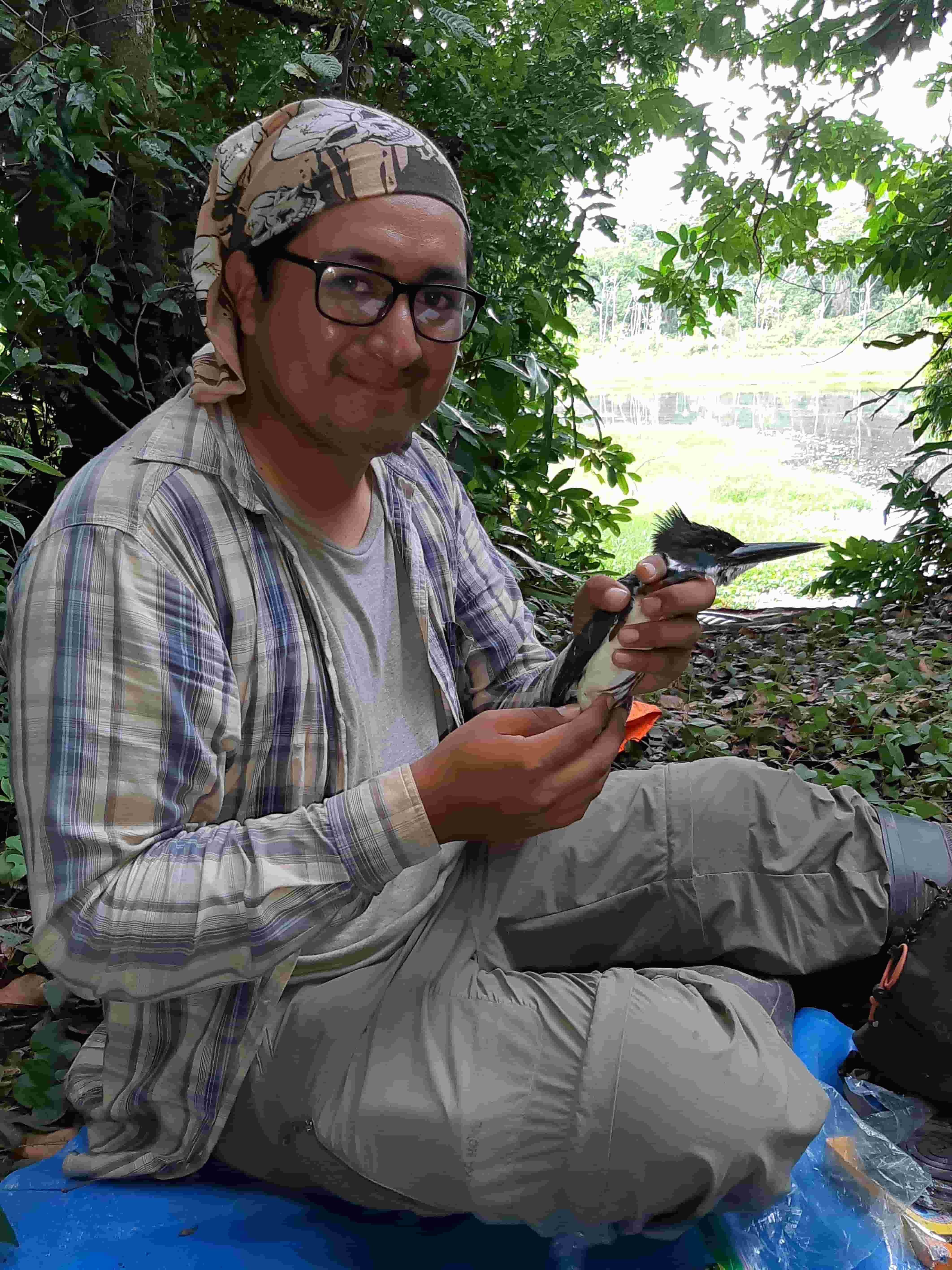 Victor and Amazon kingfisher